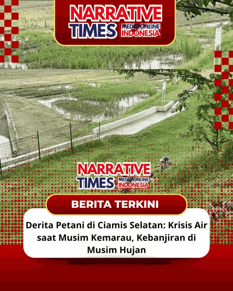 Derita Petani di Ciamis Selatan: Krisis Air saat Musim Kemarau, Kebanjiran di Musim Hujan